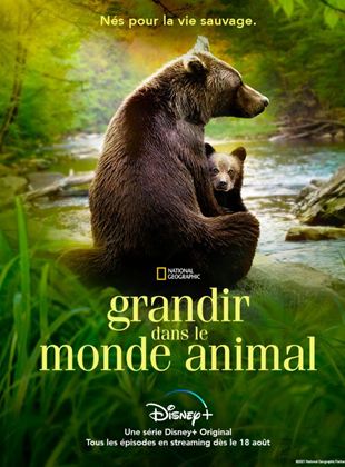 Affiche de la série Grandir dans le monde animal (2021) de Affiche de la série Grandir dans le monde animal (2021) de . Voir Grandir dans le monde animal en streaming / torrent sur meilleurs-films.fr