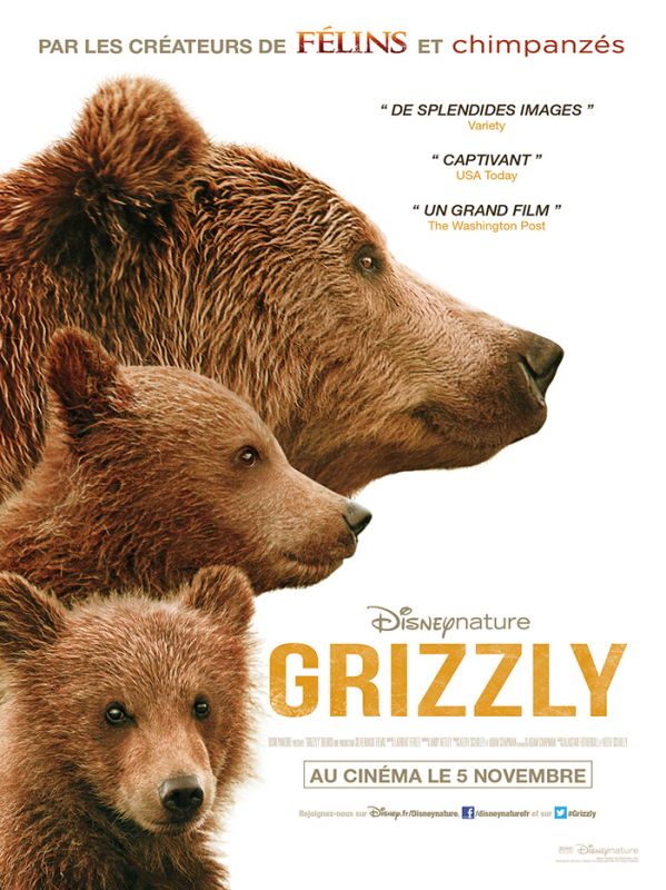 Affiche du film Grizzly (2014) de Adam Chapman Affiche du film Grizzly (2014) de Adam Chapman. Voir Grizzly en streaming / torrent sur meilleurs-films.fr
