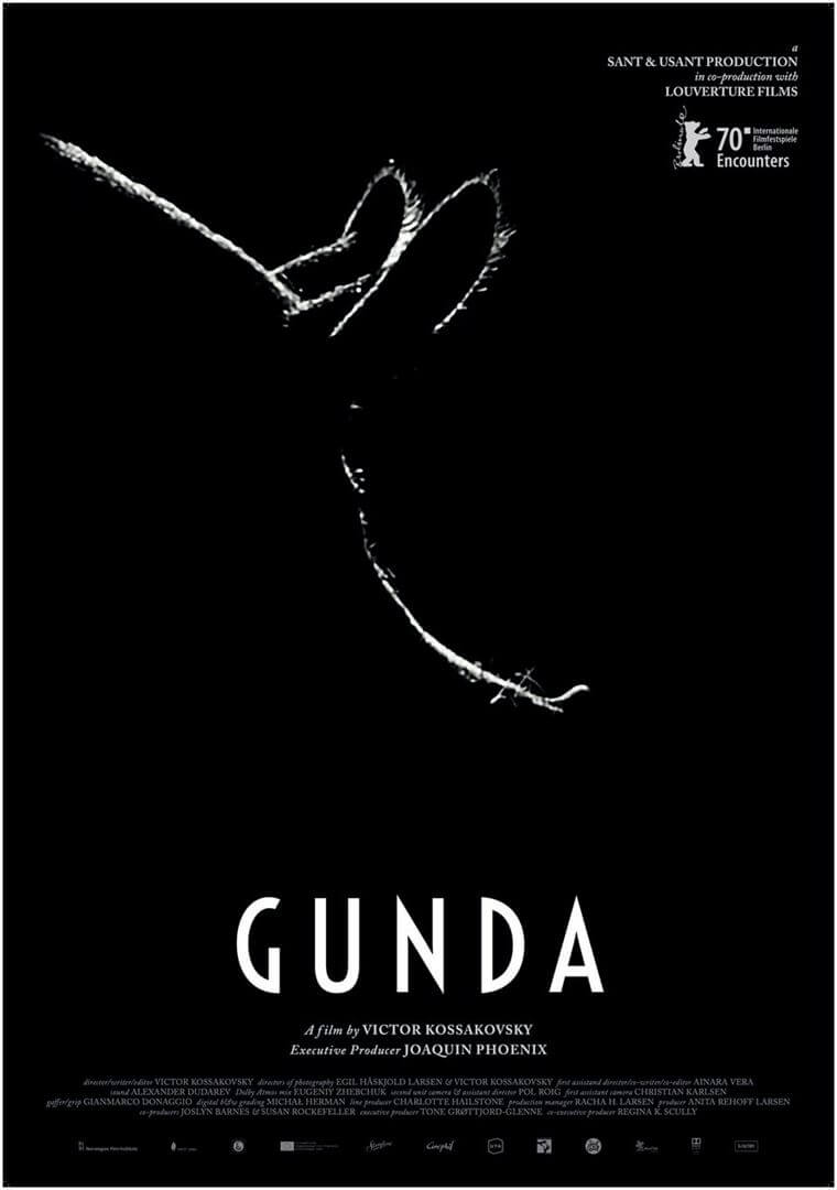 Affiche du film Gunda (2020) de Victor Kossakovsky. Voir Gunda en streaming / torrent sur meilleurs-films.fr