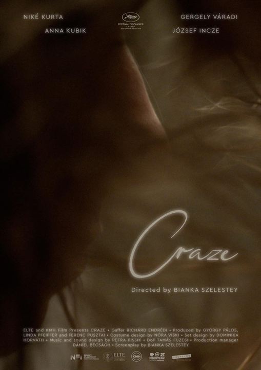 Affiche du court métrage Hajszálrepedés (2025) de Bianka Szelestey. Voir Hajszálrepedés en streaming / torrent sur meilleurs-films.fr