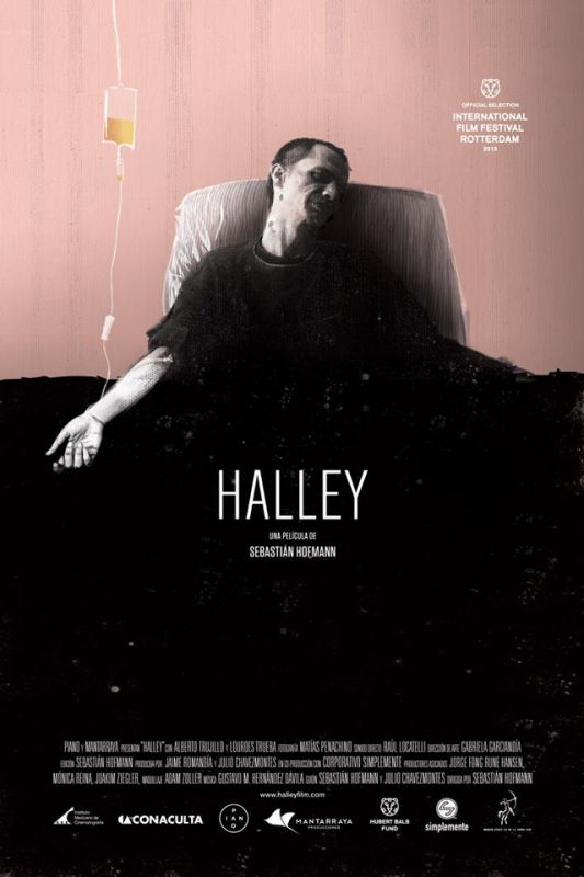 Affiche du film Halley (2012) de Sebastian Hofmann. Voir Halley en streaming / torrent sur meilleurs-films.fr