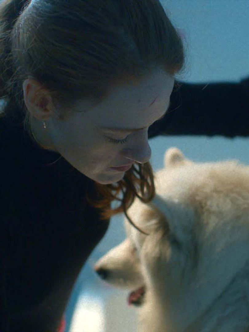 Affiche du court métrage Hector Malot : The Last Day of the Year () de Jacqueline Lentzou. Voir Hector Malot : The Last Day of the Year en streaming / torrent sur meilleurs-films.fr