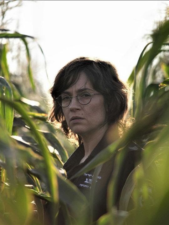 Affiche du film Highway 65 (2023) de Maya Dreifuss. Voir Highway 65 en streaming / torrent sur meilleurs-films.fr