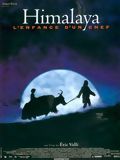 Affiche du film Himalaya, l&rsquo;enfance d&rsquo;un chef (1999) de Eric Valli. Voir Himalaya, l&rsquo;enfance d&rsquo;un chef en streaming / torrent sur meilleurs-films.fr