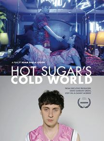 Affiche du film Hot Sugar’s Cold World (2014) de Adam Bhala Lough. Voir Hot Sugar’s Cold World en streaming / torrent sur meilleurs-films.fr