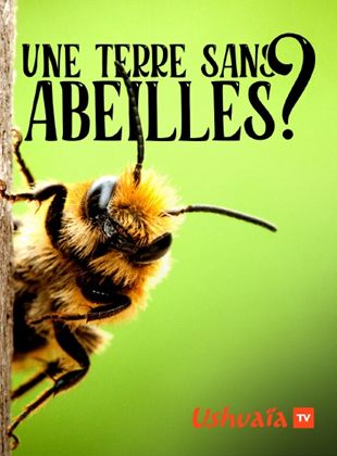 Affiche du film Une terre sans abeilles ? (2021) de Elsa Putelat Affiche du film Une terre sans abeilles ? (2021) de Elsa Putelat. Voir Une terre sans abeilles ? en streaming / torrent sur meilleurs-films.fr