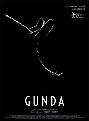 Affiche du film Gunda (2020) de Ainara Vera,. Voir Gunda en streaming / torrent sur meilleurs-films.fr