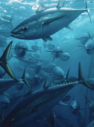 Affiche du film Seaspiracy : La Pêche en Question (2021) de Ali Tabrizi,. Voir Seaspiracy : La Pêche en Question en streaming / torrent sur meilleurs-films.fr