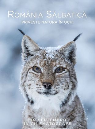 Affiche du film Wild Romania (2021) de Cosmin Dumitrache Affiche du film Wild Romania (2021) de Cosmin Dumitrache. Voir Wild Romania en streaming / torrent sur meilleurs-films.fr