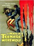 Affiche du film I was a teenage werewolf (1957) de Gene Fowler Jr.. Voir I was a teenage werewolf en streaming / torrent sur meilleurs-films.fr