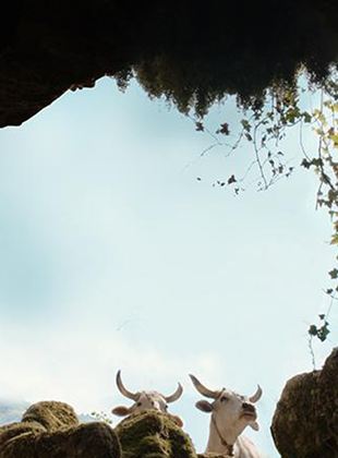 Affiche du film Il buco (2022) de Giovanna Giuliani. Voir Il buco en streaming / torrent sur meilleurs-films.fr