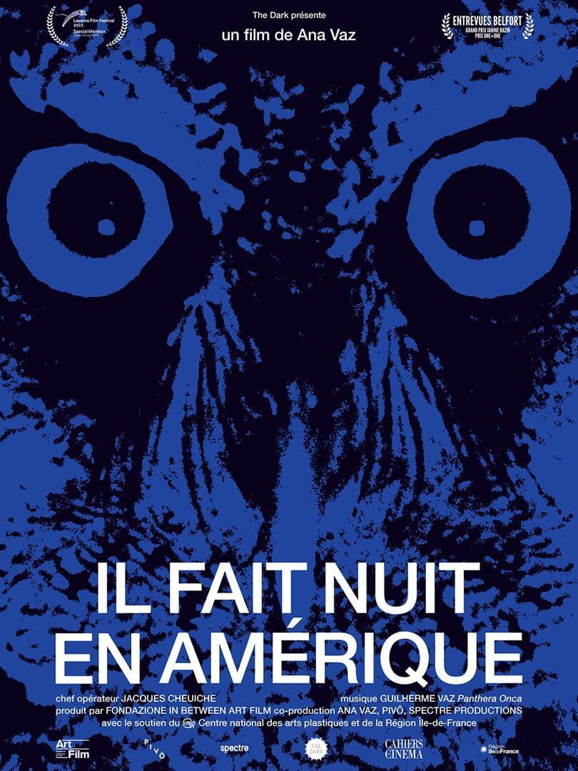 Affiche du film Il fait nuit en Amérique (2024) de Ana Vaz Affiche du film Il fait nuit en Amérique (2024) de Ana Vaz. Voir Il fait nuit en Amérique en streaming / torrent sur meilleurs-films.fr
