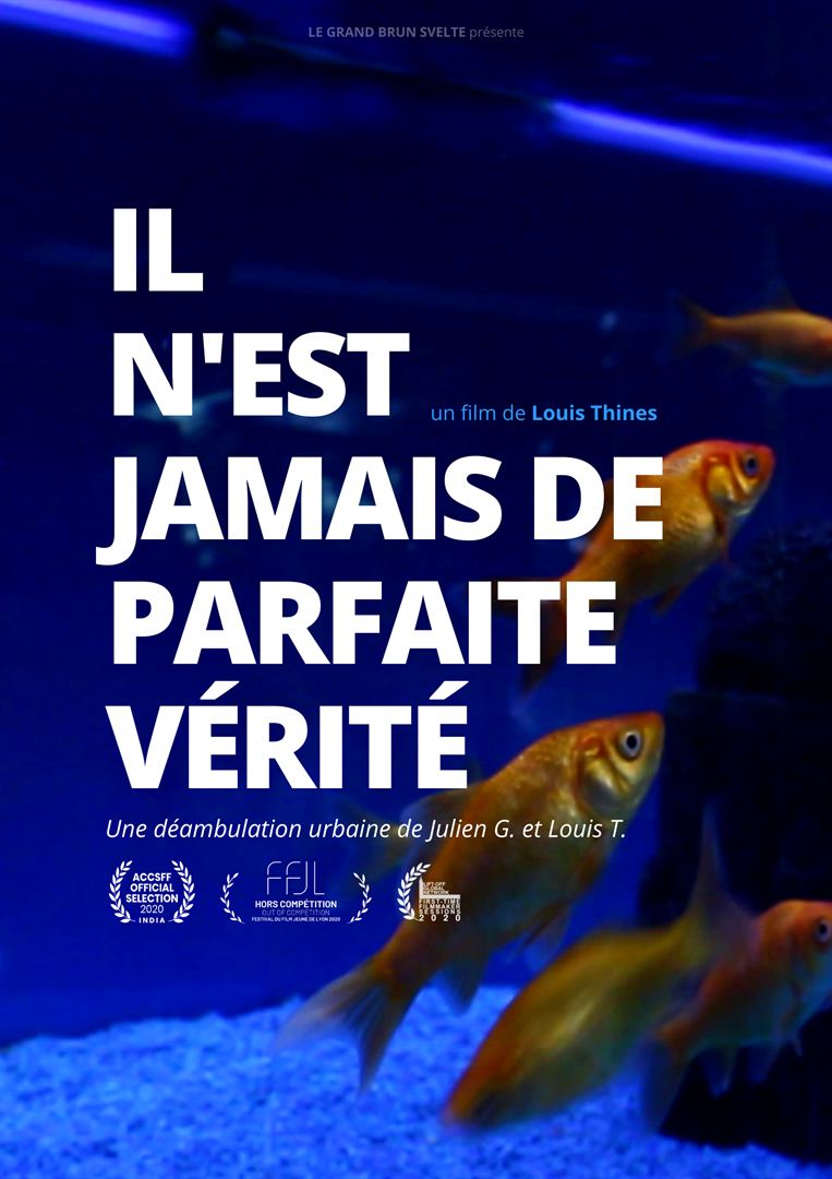 Affiche du court métrage Il n’est jamais de parfaite vérité (2019) de Louis Thines Affiche du court métrage Il n’est jamais de parfaite vérité (2019) de Louis Thines. Voir Il n’est jamais de parfaite vérité en streaming / torrent sur meilleurs-films.fr