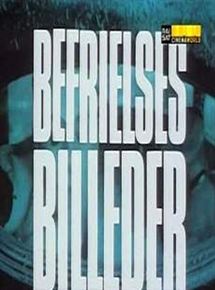 Affiche du film Images d’une libération (1982) de Lars von Trier. Voir Images d’une libération en streaming / torrent sur meilleurs-films.fr