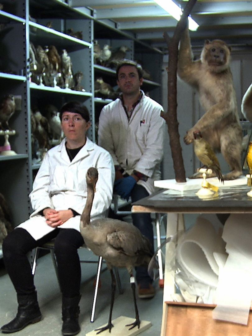 Affiche du court métrage Immobiles (2013) de Beatrice Plumet Affiche du court métrage Immobiles (2013) de Beatrice Plumet. Voir Immobiles en streaming / torrent sur meilleurs-films.fr