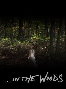 Affiche du film In the Woods (2013) de Jennifer Elster Affiche du film In the Woods (2013) de Jennifer Elster. Voir In the Woods en streaming / torrent sur meilleurs-films.fr
