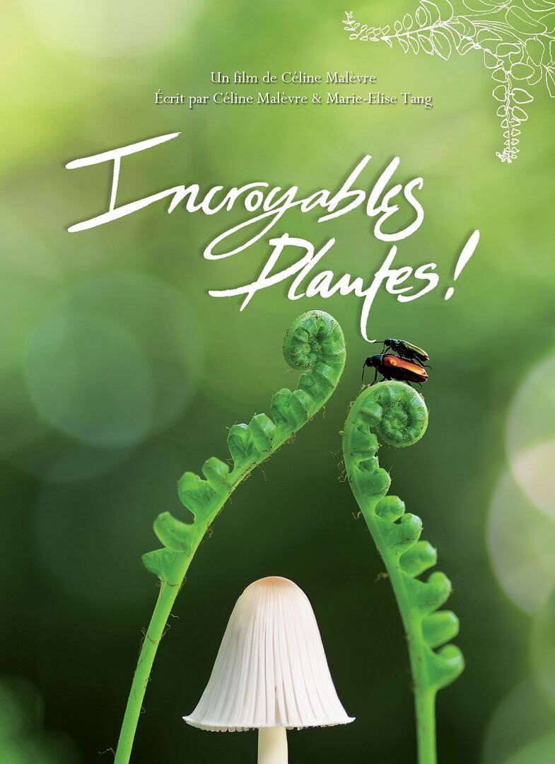 Affiche du film Incroyables Plantes (2023) de . Voir Incroyables Plantes en streaming / torrent sur meilleurs-films.fr