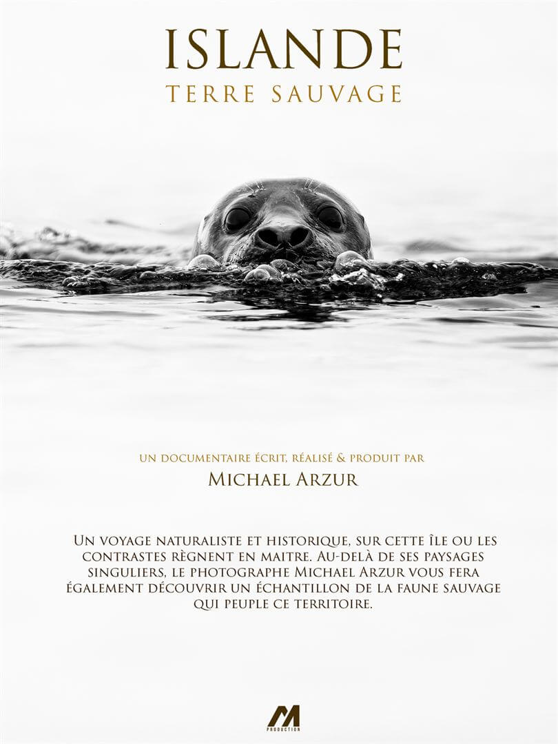 Affiche du film Islande, Terre Sauvage (2024) de Mickaël Arzur Affiche du film Islande, Terre Sauvage (2024) de Mickaël Arzur. Voir Islande, Terre Sauvage en streaming / torrent sur meilleurs-films.fr