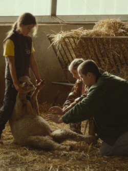 Affiche du film Jacky Caillou (2020) de Lucas Delangle & Olivier Strauss.