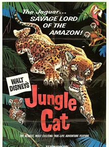 Affiche du film Jungle Cat (1960) de James Algar. Voir Jungle Cat en streaming / torrent sur meilleurs-films.fr