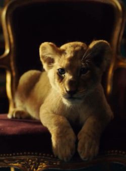 Affiche du film King (2022) de Antoine Sanier & David Moreau.