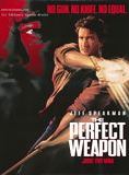 Affiche du film L’Arme Parfaite (1991) de Mark DiSalle. Voir L’Arme Parfaite en streaming / torrent sur meilleurs-films.fr