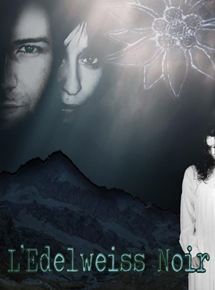 Affiche du film L’Edelweiss noir (2012) de Guy Basterreix,Vincent Fernandez,. Voir L’Edelweiss noir en streaming / torrent sur meilleurs-films.fr
