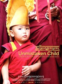 Affiche du film L’Enfant élu (2008) de Nati Baratz. Voir L’Enfant élu en streaming / torrent sur meilleurs-films.fr