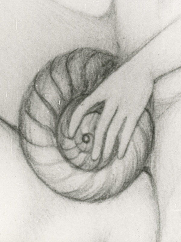 Affiche du court métrage L’ Escargot de Vénus (1975) de Walerian Borowczyk. Voir L’ Escargot de Vénus en streaming / torrent sur meilleurs-films.fr