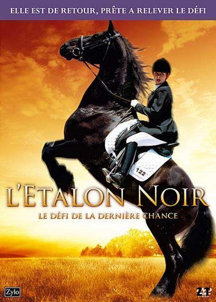 Affiche du film L’Etalon noir : Le défi de la dernière chance (2008) de Cornelia Moore. Voir L’Etalon noir : Le défi de la dernière chance en streaming / torrent sur meilleurs-films.fr