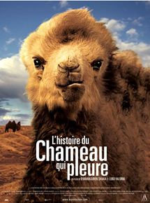 Affiche du film L&rsquo;Histoire du chameau qui pleure (2003) de Byambasuren Davaa. Voir L&rsquo;Histoire du chameau qui pleure en streaming / torrent sur meilleurs-films.fr