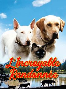 Affiche du film L’incroyable randonnée (1963) de Fletcher Markle. Voir L’incroyable randonnée en streaming / torrent sur meilleurs-films.fr