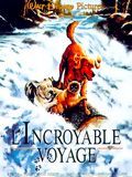 Affiche du film L’Incroyable Voyage (1992) de Duwayne Dunham Affiche du film L’Incroyable Voyage (1992) de Duwayne Dunham. Voir L’Incroyable Voyage en streaming / torrent sur meilleurs-films.fr