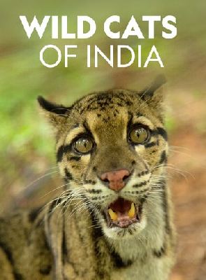 Affiche de la série L’Inde : Terre de Félins (2020) de . Voir L’Inde : Terre de Félins en streaming / torrent sur meilleurs-films.fr