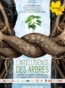 Affiche du film L’Intelligence des Arbres (2016) de Julia Dordel,Guido Tölke,. Voir L’Intelligence des Arbres en streaming / torrent sur meilleurs-films.fr