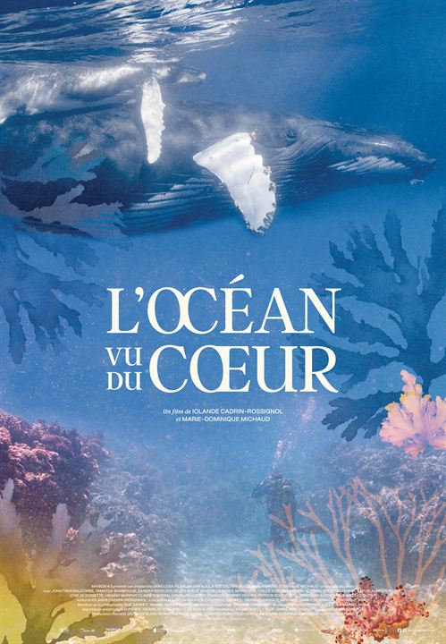 Affiche du film L’Océan vu du cœur (2023) de Iolande Cadrin-Rossignol. Voir L’Océan vu du cœur en streaming / torrent sur meilleurs-films.fr