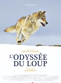 Affiche du film L’Odyssée du loup (2019) de Vincent Steiger Affiche du film L’Odyssée du loup (2019) de Vincent Steiger. Voir L’Odyssée du loup en streaming / torrent sur meilleurs-films.fr