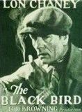 Affiche du film L’Oiseau noir (1926) de Tod Browning. Voir L’Oiseau noir en streaming / torrent sur meilleurs-films.fr