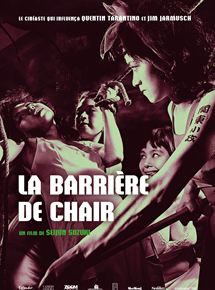Affiche du film La Barrière de chair (1964) de Seijun Suzuki. Voir La Barrière de chair en streaming / torrent sur meilleurs-films.fr