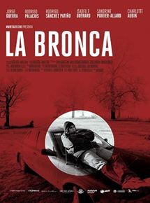 Affiche du film La bronca (2019) de Daniel Vega Vidal,Diego Vega Vidal,. Voir La bronca en streaming / torrent sur meilleurs-films.fr