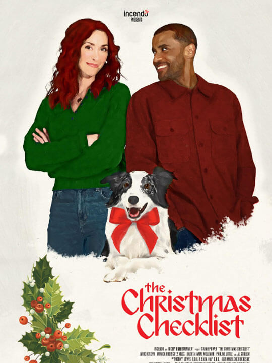 Affiche du film La checklist de Noël (2022) de Anne De Léan. Voir La checklist de Noël en streaming / torrent sur meilleurs-films.fr