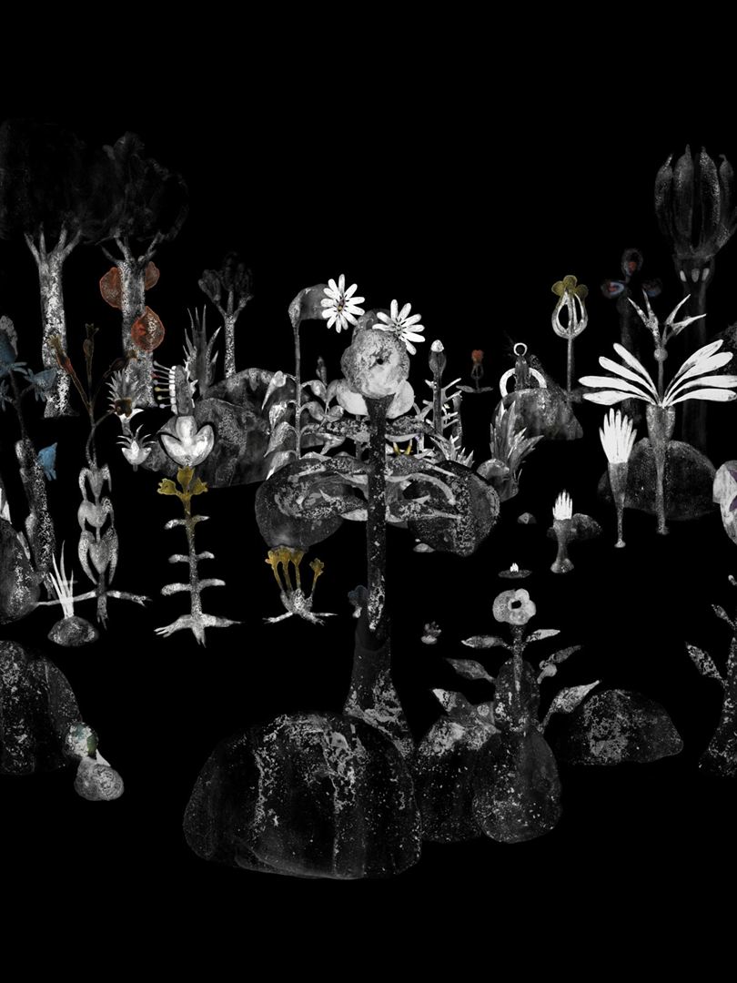 Affiche du court métrage La Chute () de Boris Labbé. Voir La Chute en streaming / torrent sur meilleurs-films.fr