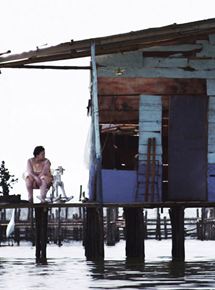 Affiche du film La ciénaga: entre el mar y la tierra (2016) de Carlos del Castillo. Voir La ciénaga: entre el mar y la tierra en streaming / torrent sur meilleurs-films.fr