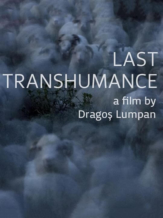 Affiche du film La Dernière transhumance (2022) de Dragos Lumpan Affiche du film La Dernière transhumance (2022) de Dragos Lumpan. Voir La Dernière transhumance en streaming / torrent sur meilleurs-films.fr