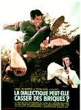 Affiche du film La dialectique peut-elle casser des briques? (1973) de . Voir La dialectique peut-elle casser des briques? en streaming / torrent sur meilleurs-films.fr