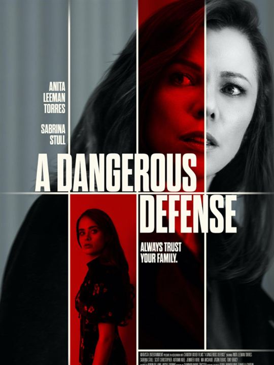 Affiche du film La famille du secret (2021) de Ted Campbell. Voir La famille du secret en streaming / torrent sur meilleurs-films.fr