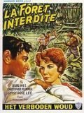 Affiche du film La Foret interdite (1958) de Nicholas Ray Affiche du film La Foret interdite (1958) de Nicholas Ray. Voir La Foret interdite en streaming / torrent sur meilleurs-films.fr
