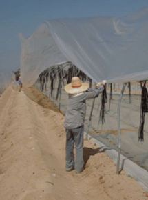 Affiche du film La La plaine de Sodome (2012) de Yael Perlman. Voir La La plaine de Sodome en streaming / torrent sur meilleurs-films.fr