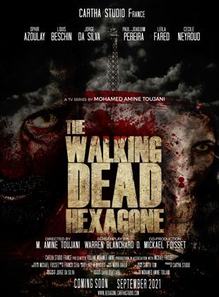 Affiche de la série La marche des morts : Hexagone (2021) de . Voir La marche des morts : Hexagone en streaming / torrent sur meilleurs-films.fr