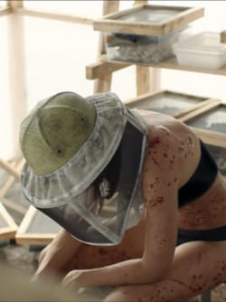 Affiche du film La nuée (2020) de Just Philippot.